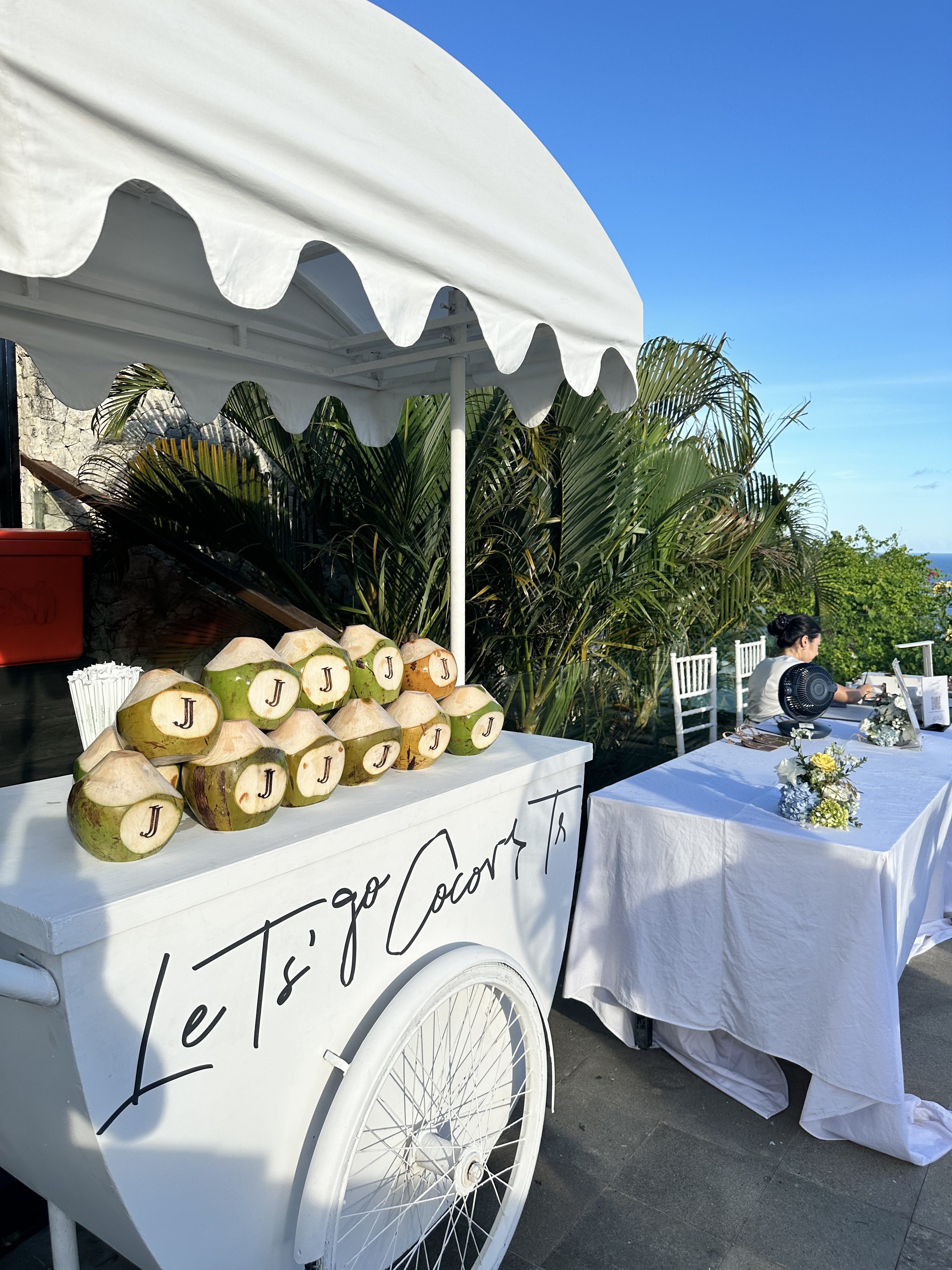 Bali Coconut Art