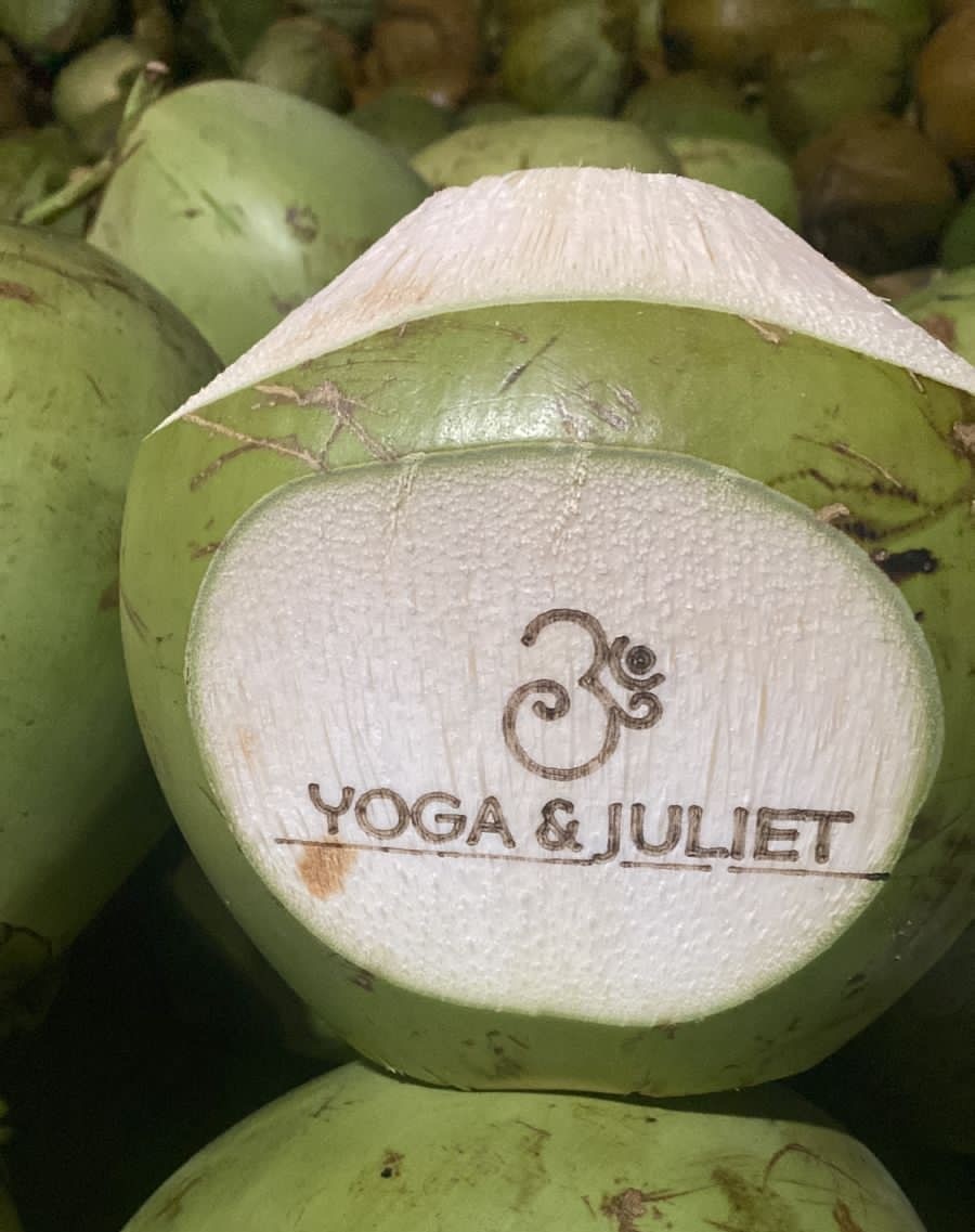 Bali Coconut Art