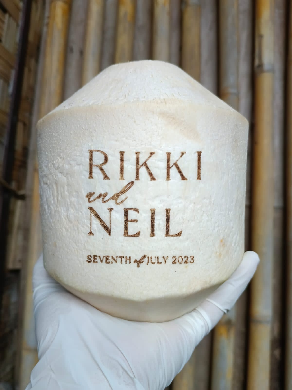 Bali Coconut Art
