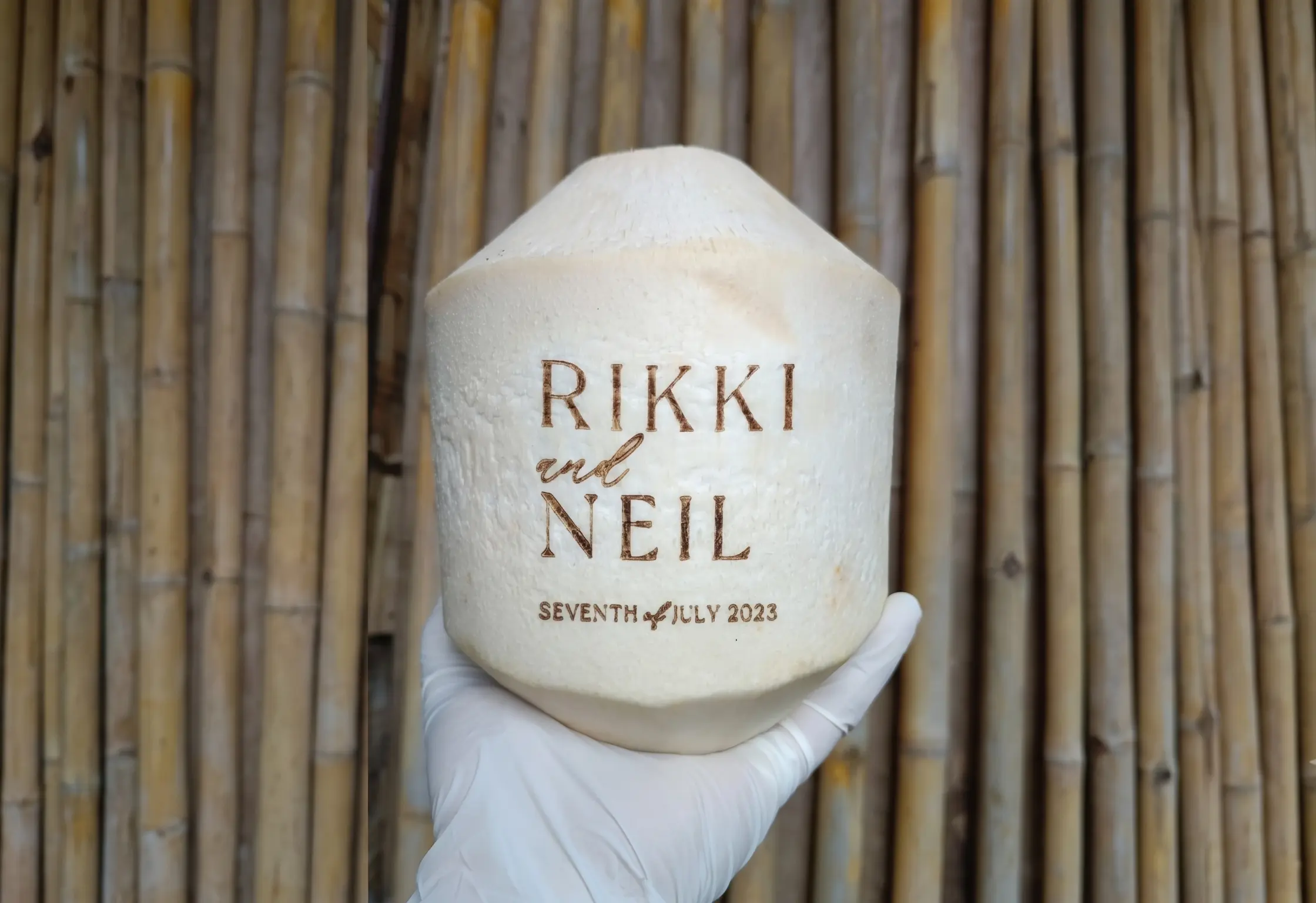 Custom Coconut Logo
