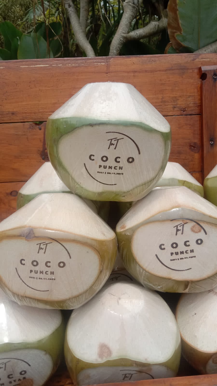 Bali Coconut Art