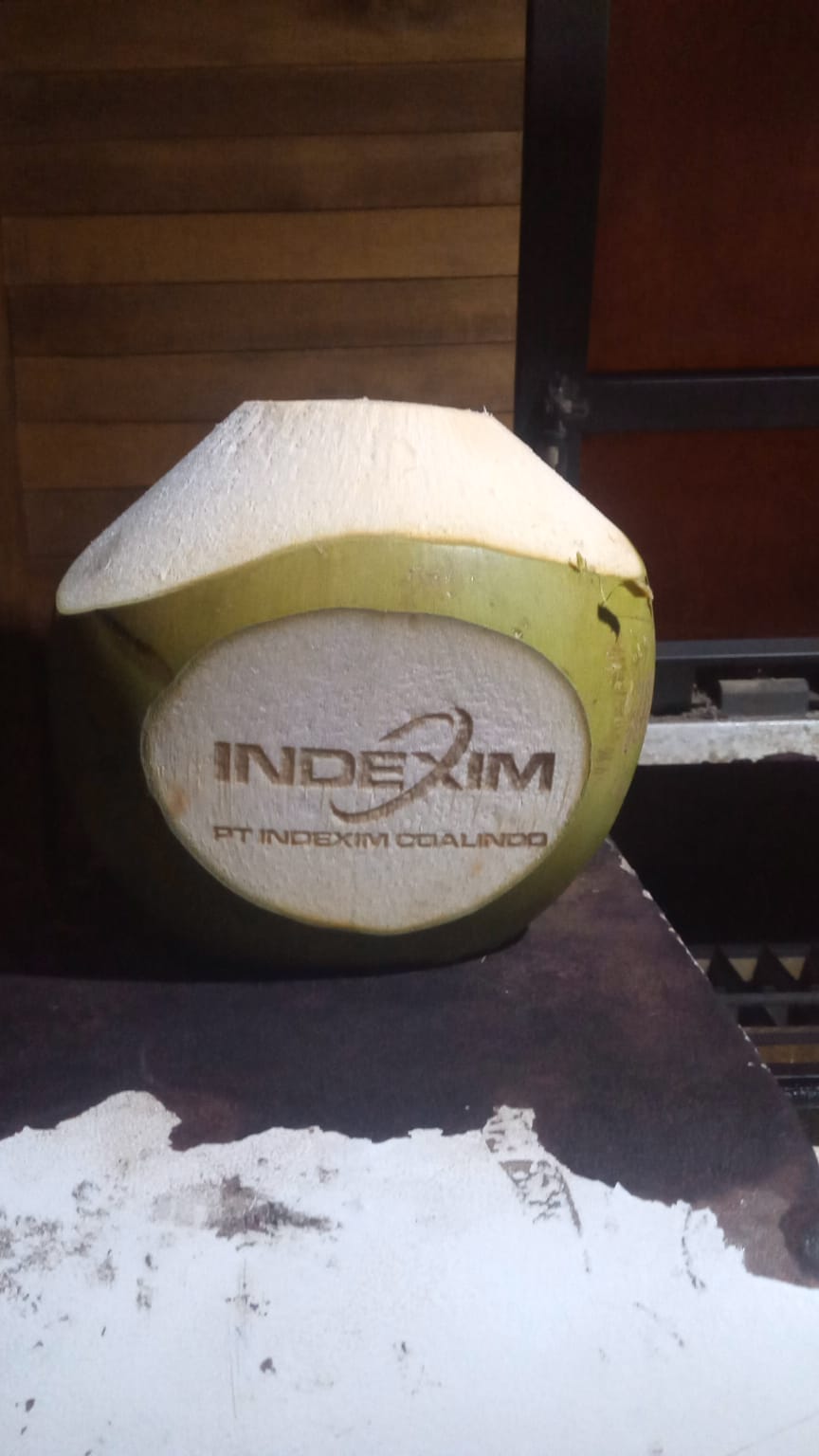 Bali Coconut Art