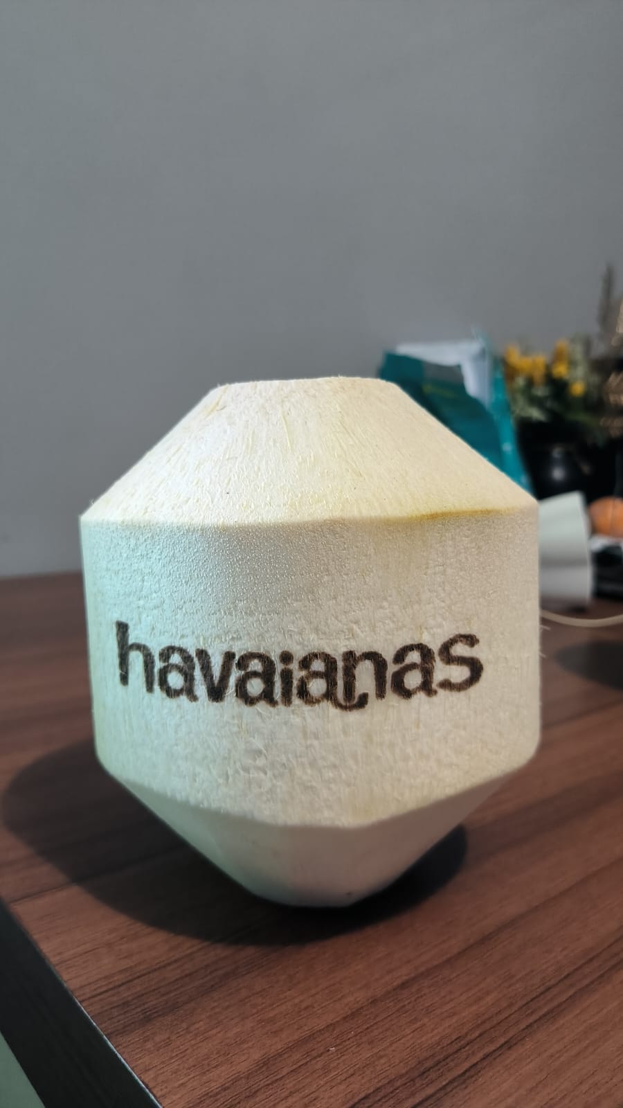 Bali Coconut Art