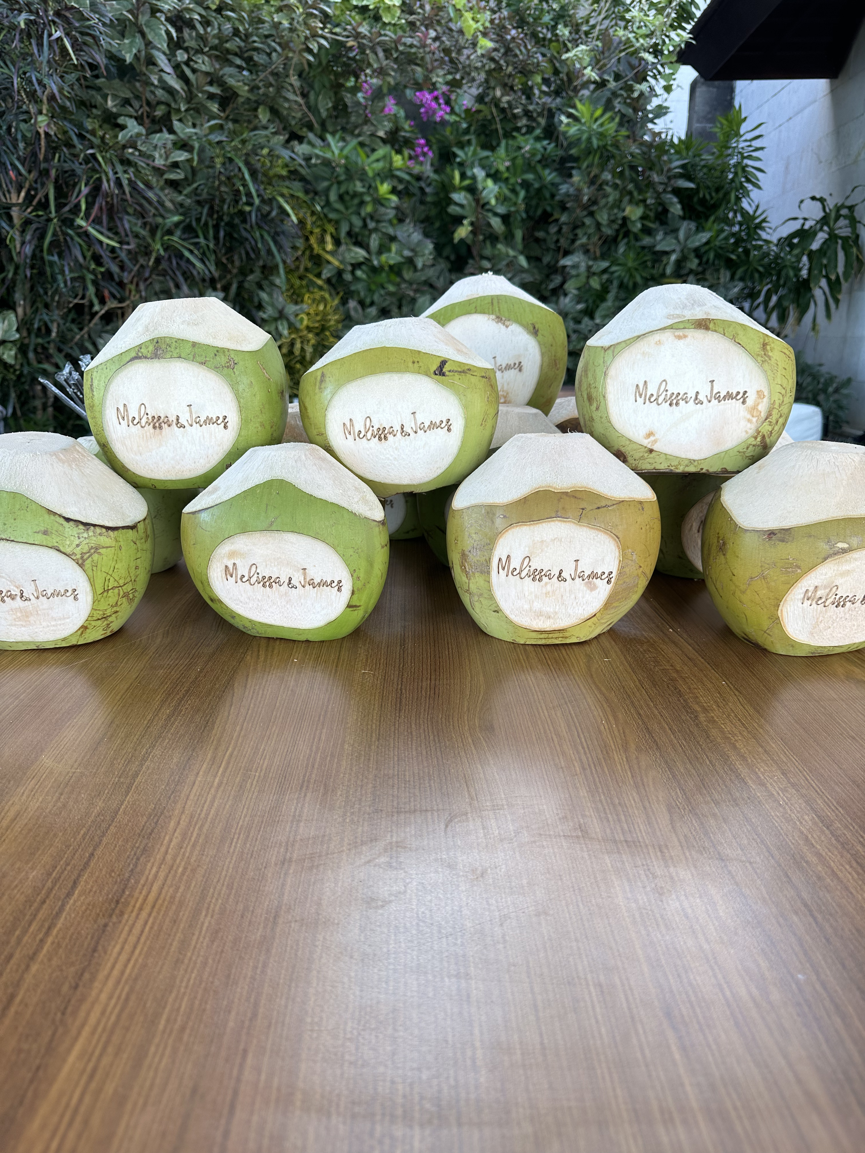 Bali Coconut Art