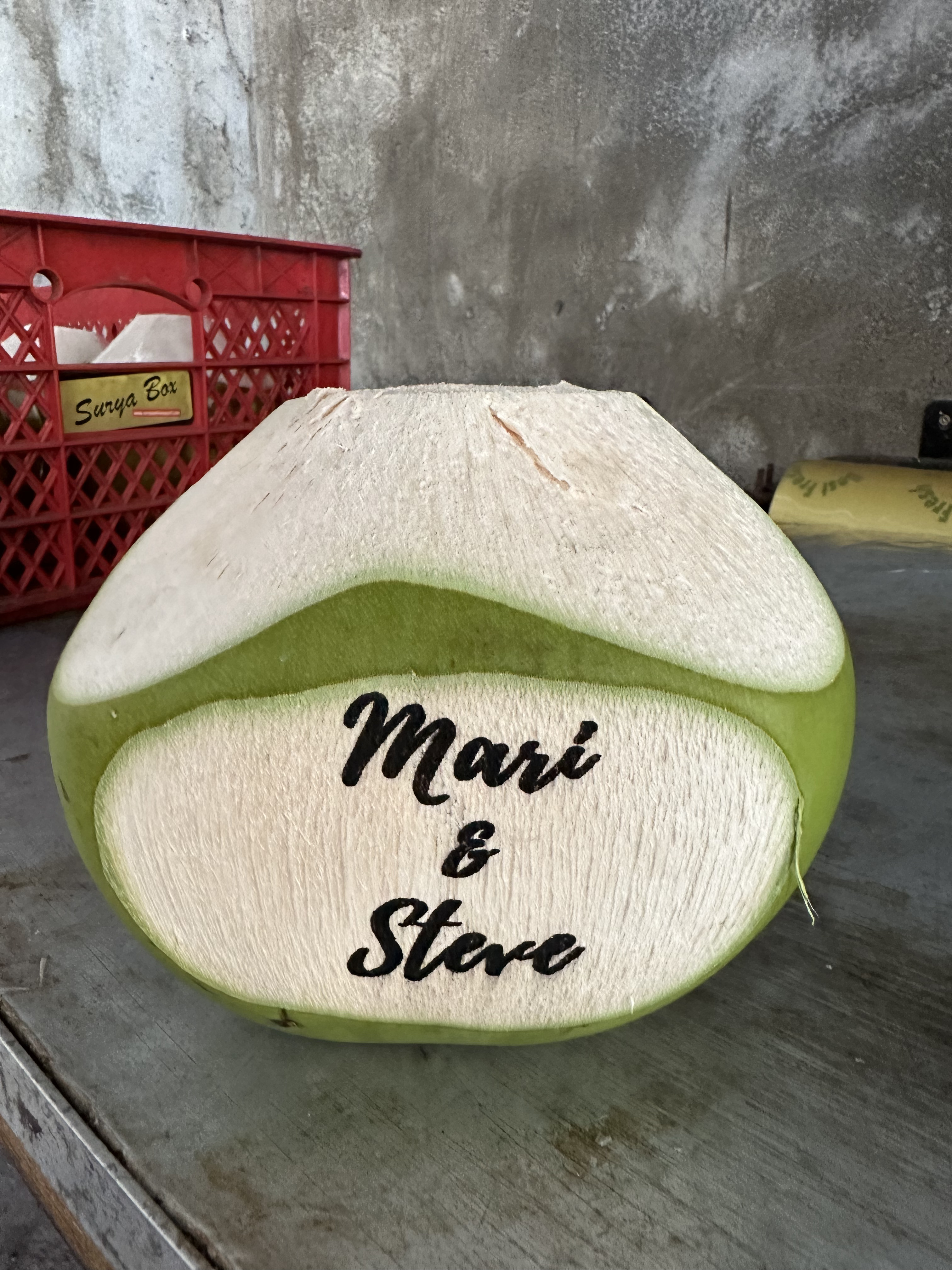 Bali Coconut Art
