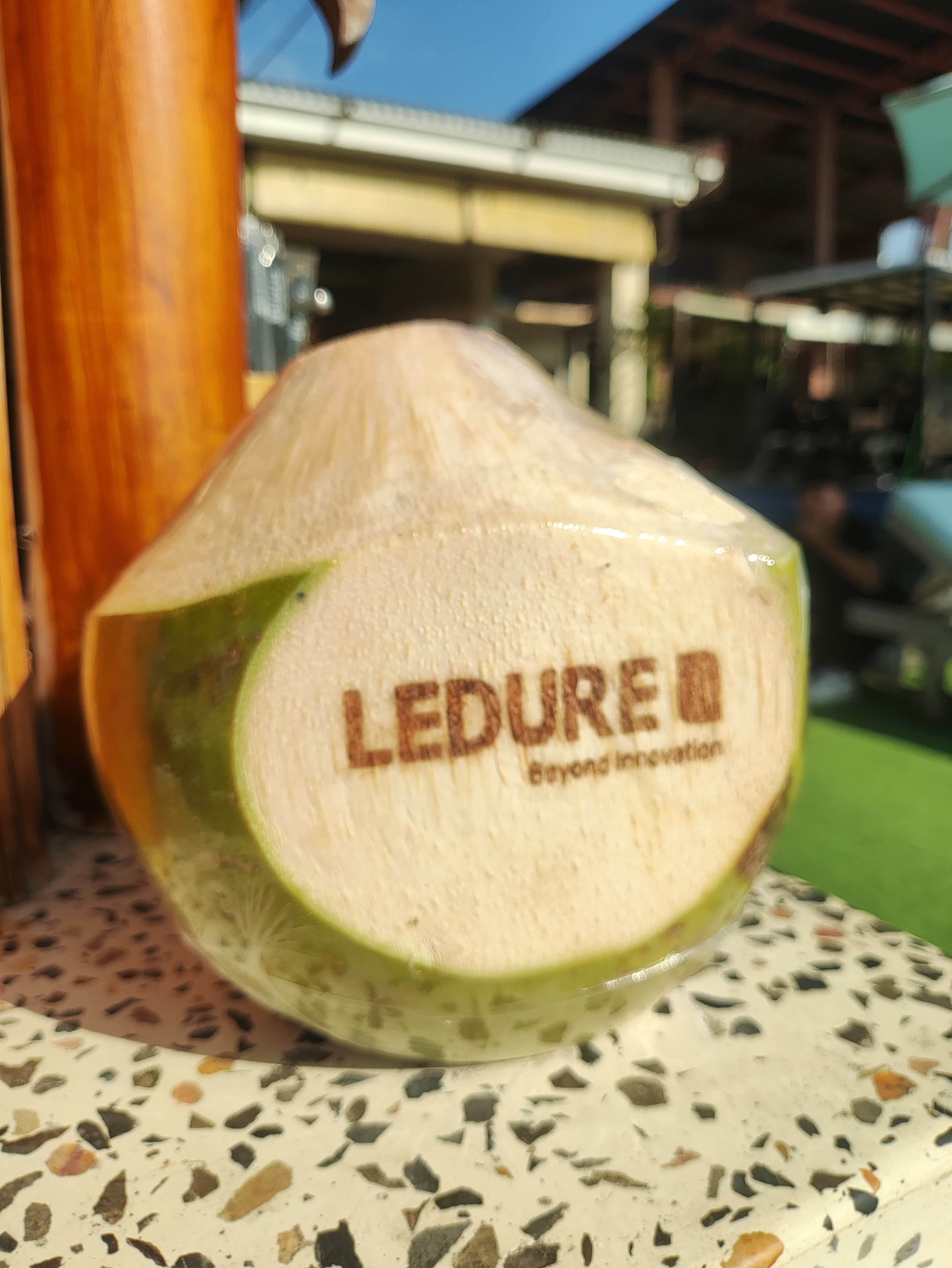 Bali Coconut Art