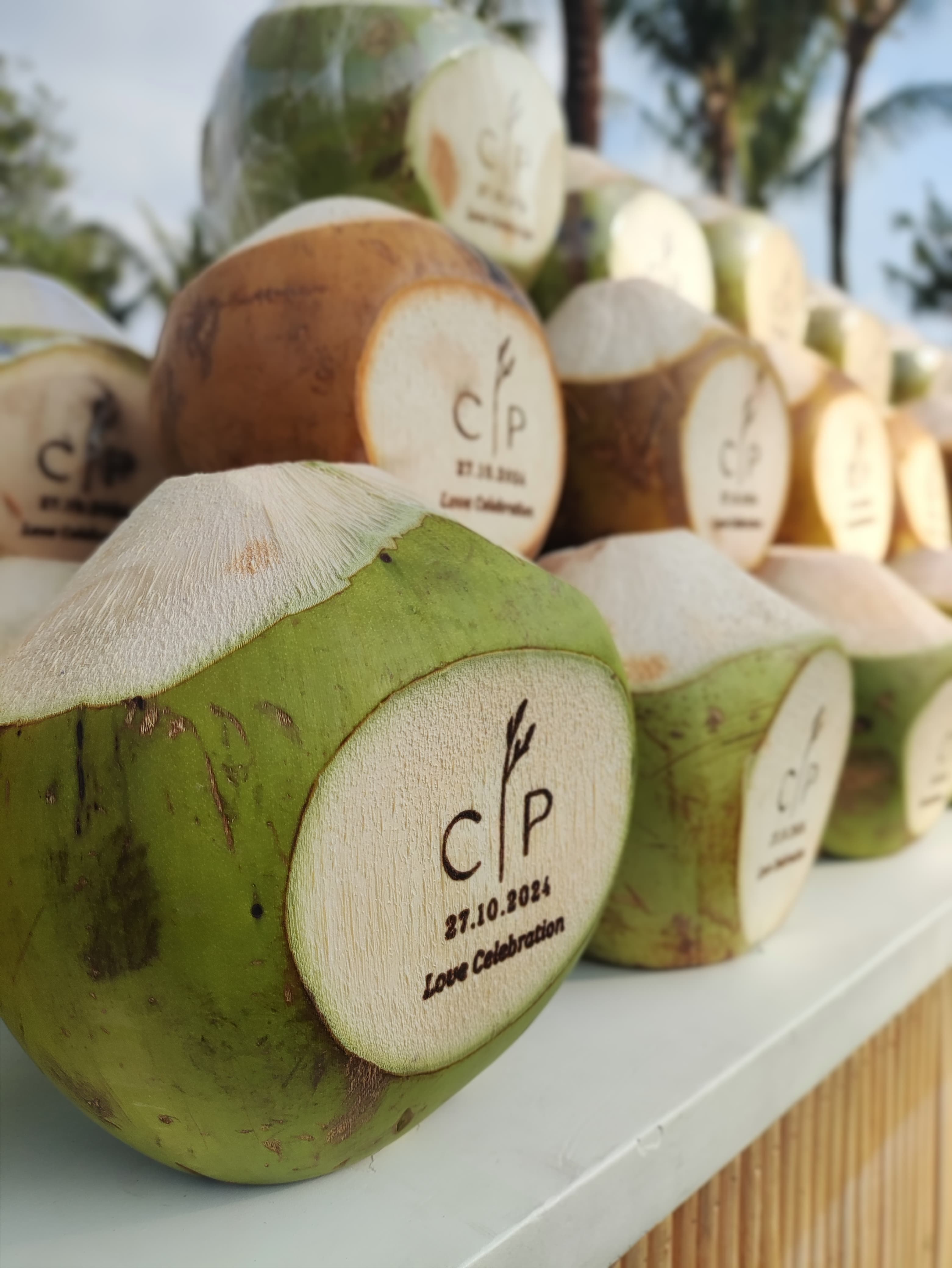 Bali Coconut Art