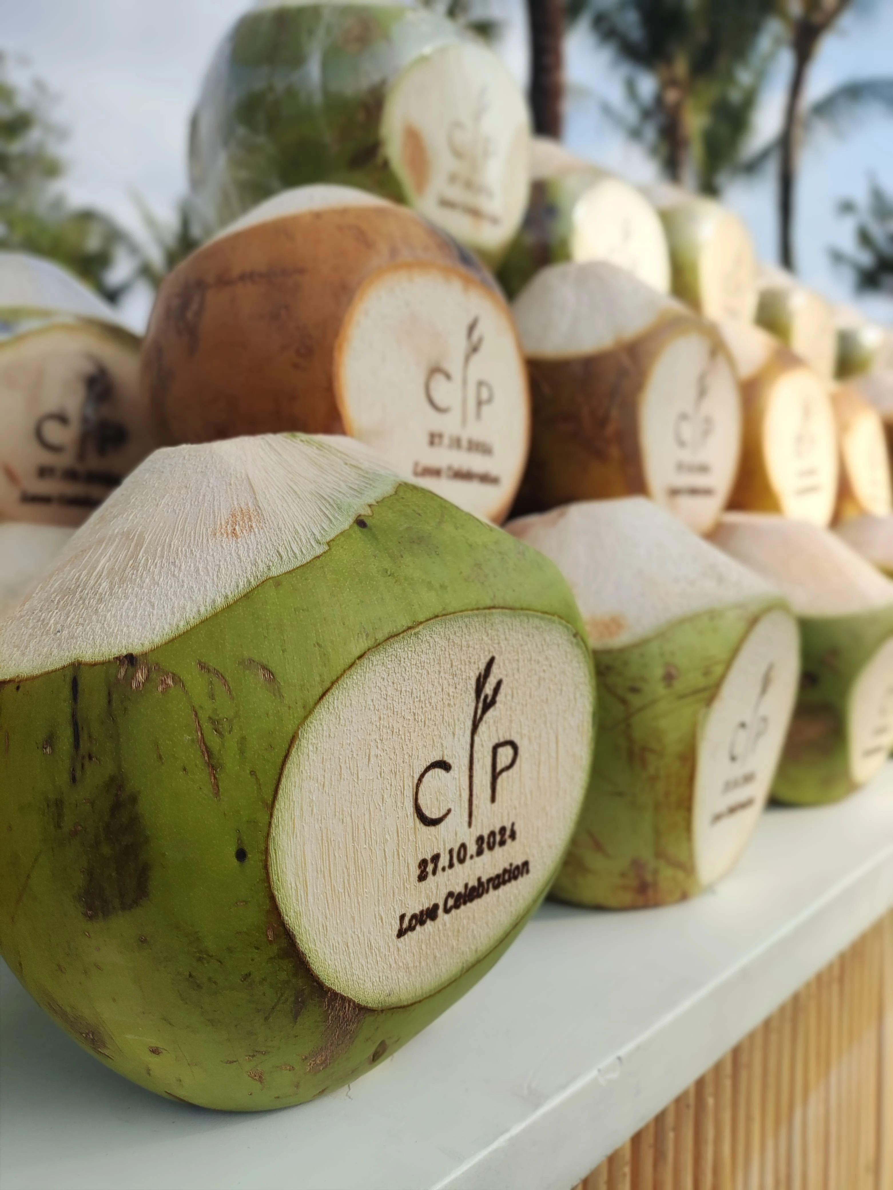 Bali Coconut Art