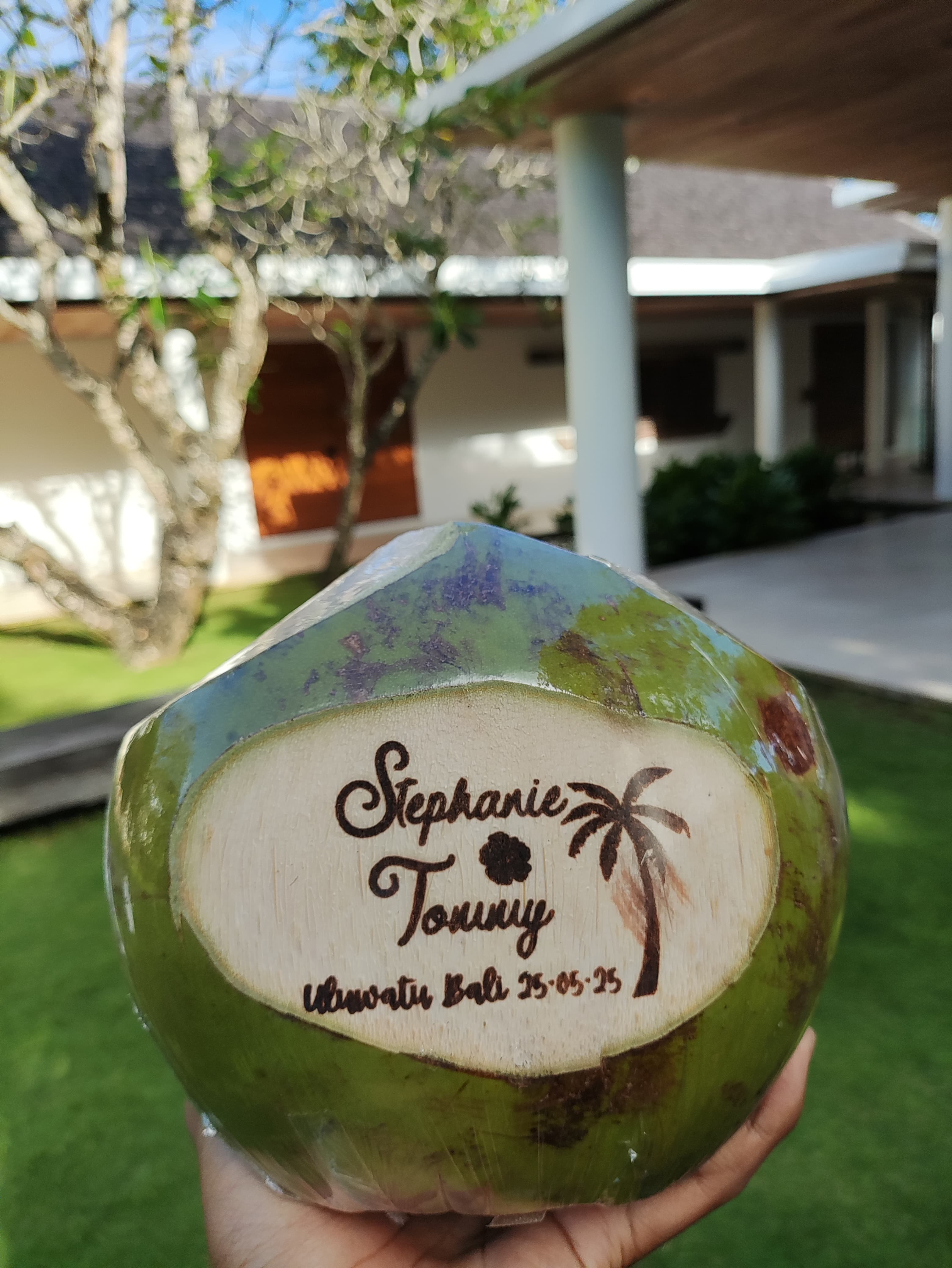 Bali Coconut Art
