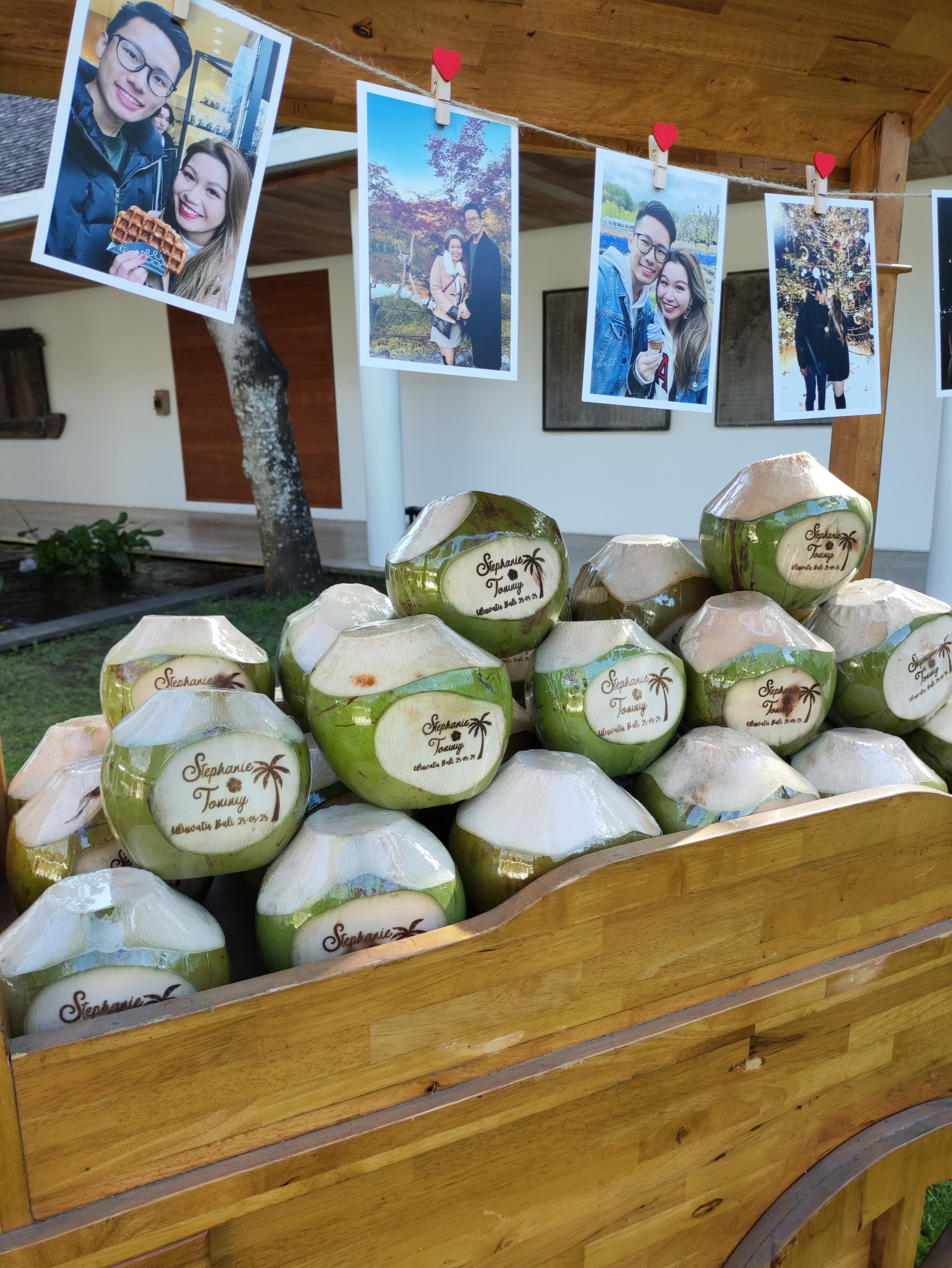 Bali Coconut Art