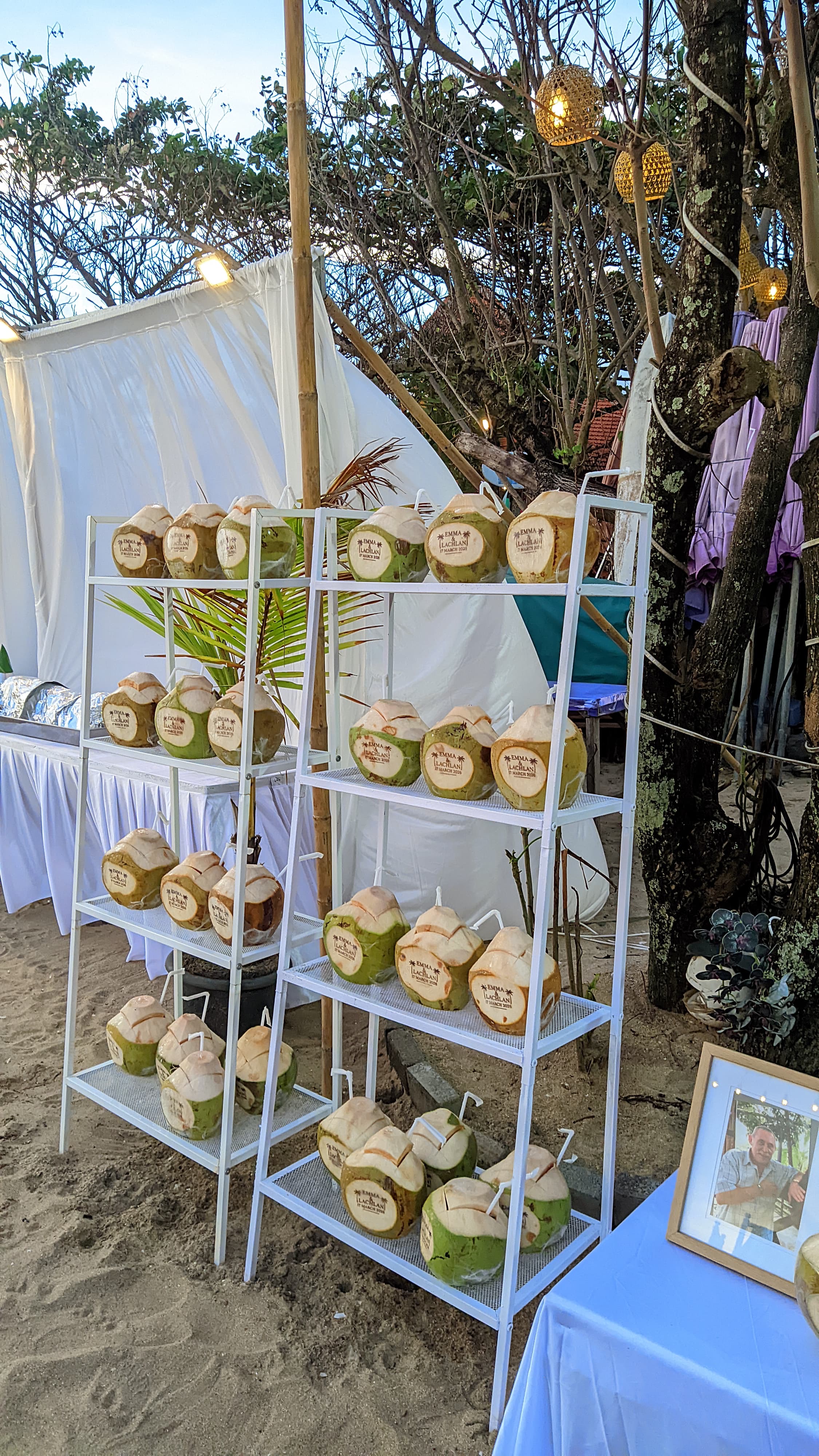 Bali Coconut Art