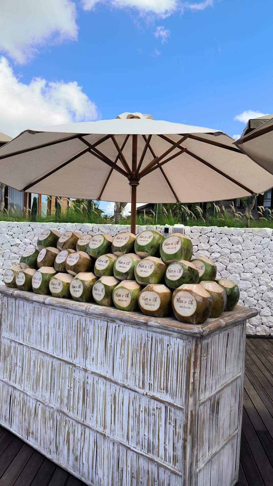 Bali Coconut Art