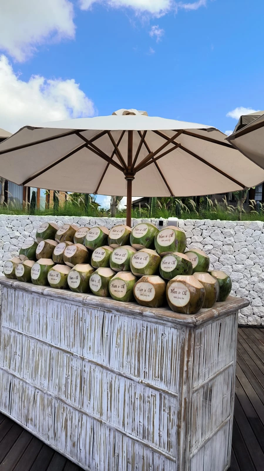 Bali Coconut Art