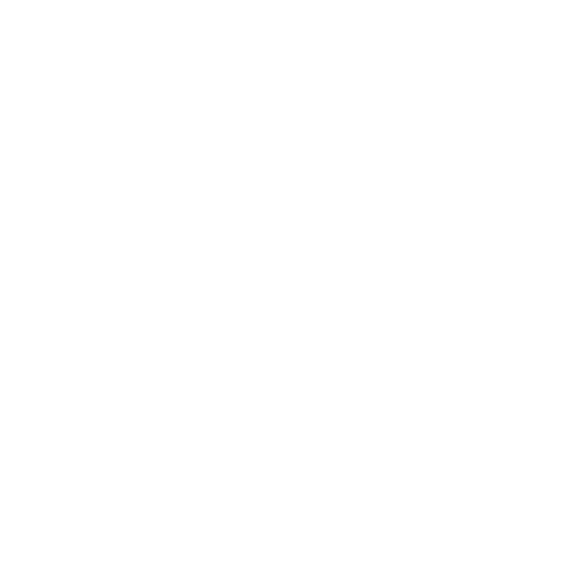 Bali Coconut Art