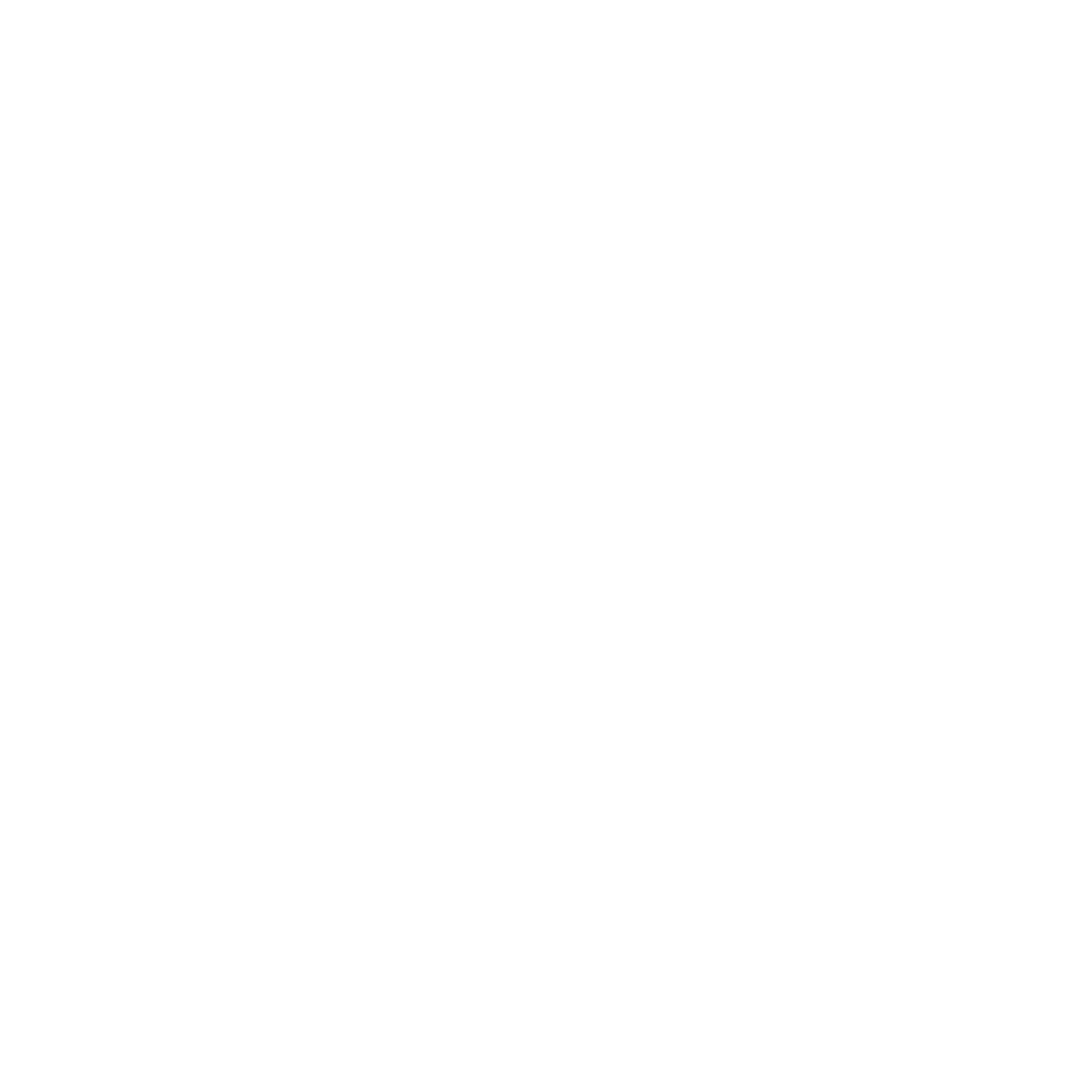 Bali Coconut Art